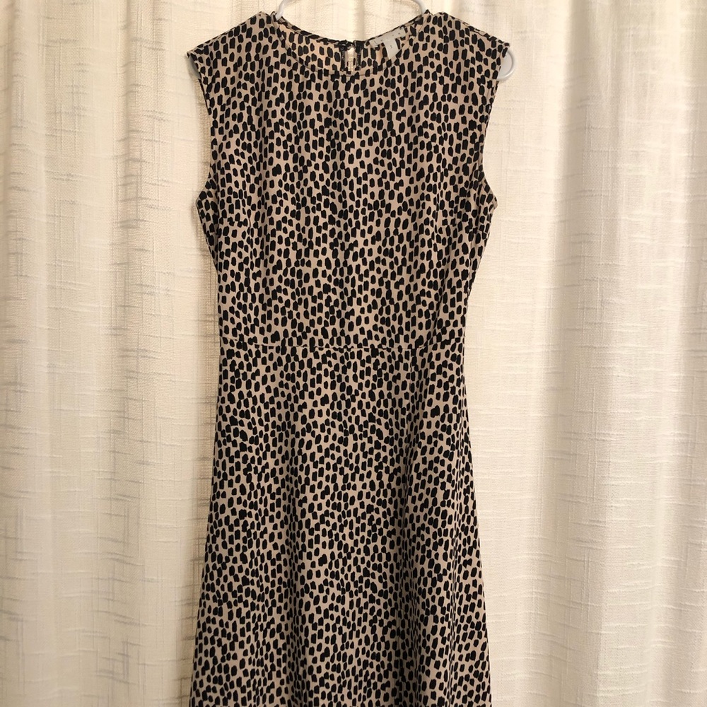 Cute Leith A-line Dress